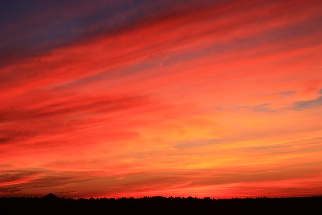 Free Morning Sunrise photo and picture