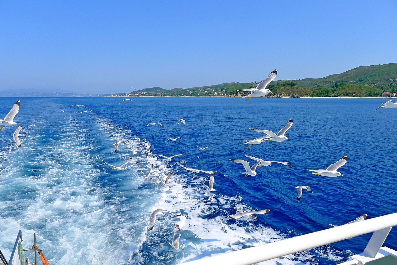 Mer Bleue Mouettes Halkidiki - Photo gratuite sur Pixabay - Pixabay