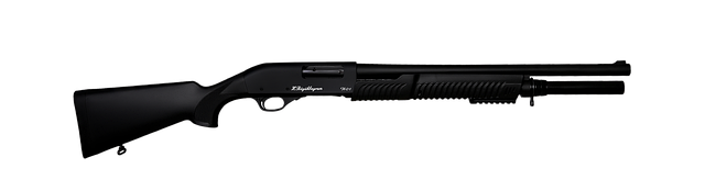 Free rifle shotgun weapon illustration