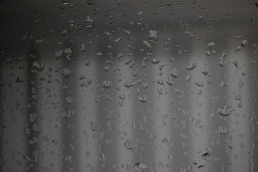 Free Raindrops Monochrome photo and picture