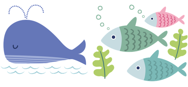Fisk, Hval, Akvatisk, Skapninger, Strand