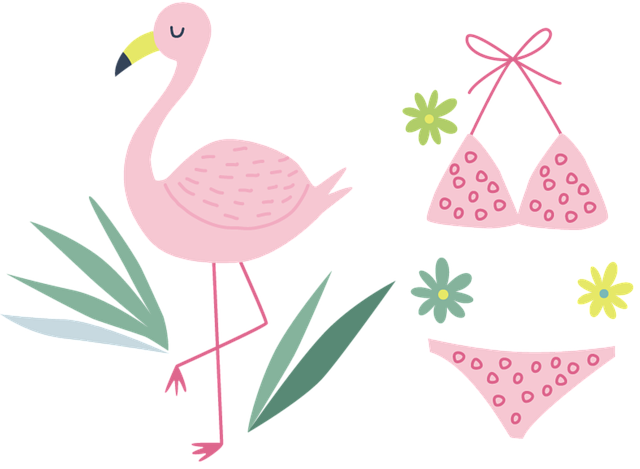 Flamingo, Nebb, Fugl, Strand, Akvatisk
