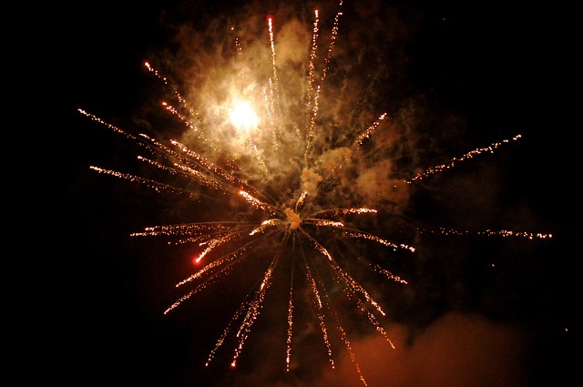 Free Fireworks Display Fireworks photo and picture