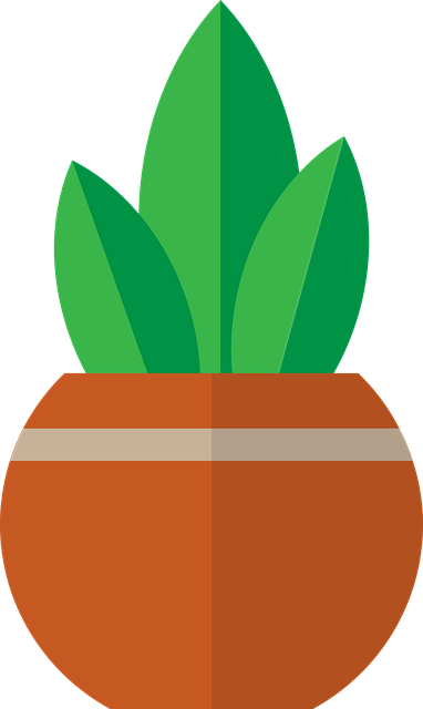 Free plant pot potted illustration