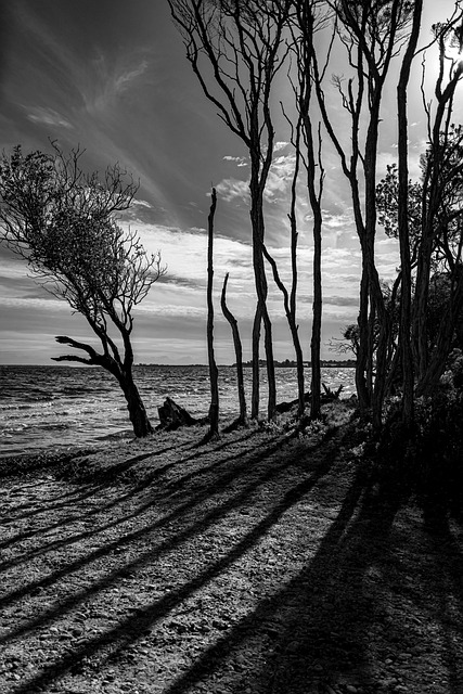 Free Beach Sun photo and picture