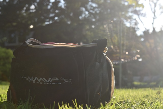 Free Disc Golf Basket photo and picture