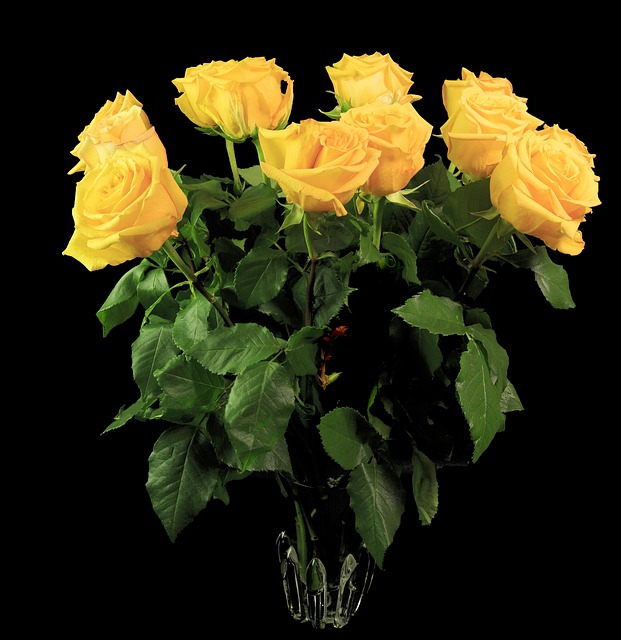 Rosen, Gelbe Rosen, Blumen, Gelbe Blumen