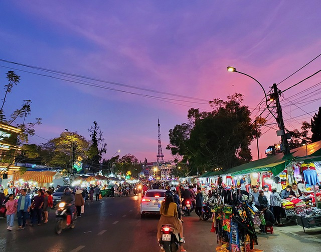 Free Dalat Night Street photo and picture