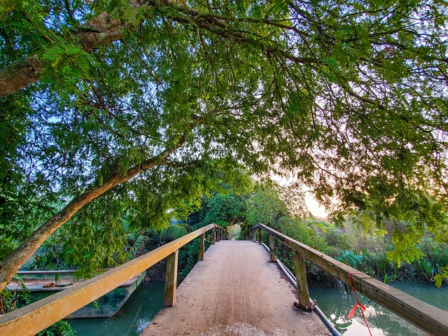 Ben Tre Viet Nam Country Free photo on Pixabay Pixabay