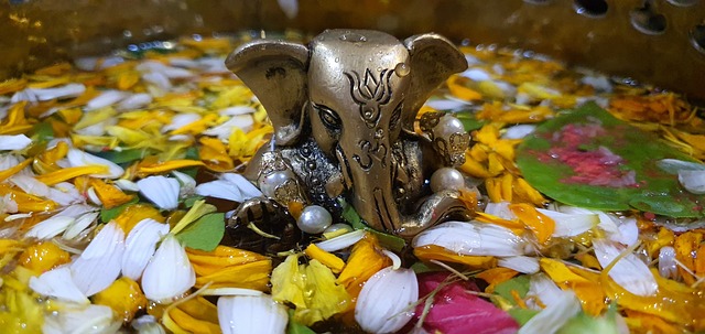 Free Ganapati Visarjan photo and picture