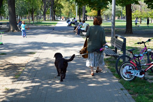Free Park Woman photo and picture