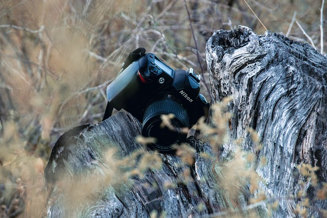 Nikon, เลนส์, กล้อง, ทีมงาน, ช่างภาพ