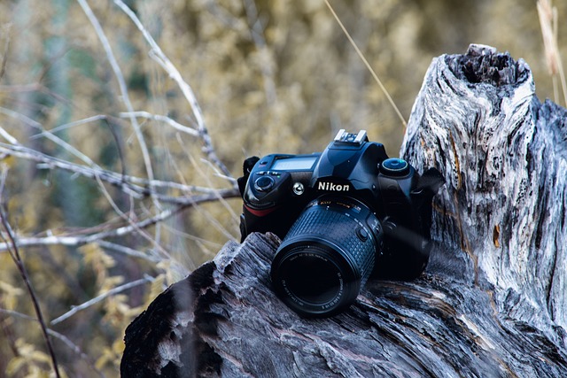Nikon, เลนส์, กล้อง, ทีมงาน, ช่างภาพ