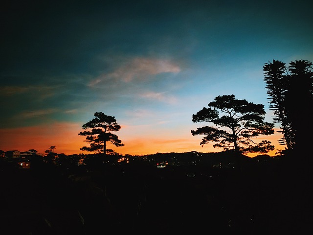Free Da Lat Viet Nam photo and picture