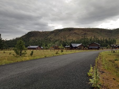 Free Village Forest photo and picture
