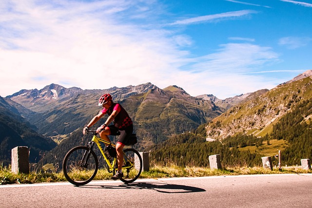 Free Bicycle Bike photo and picture