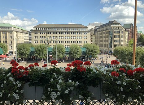 Free Hamburg Bürgermeister photo and picture