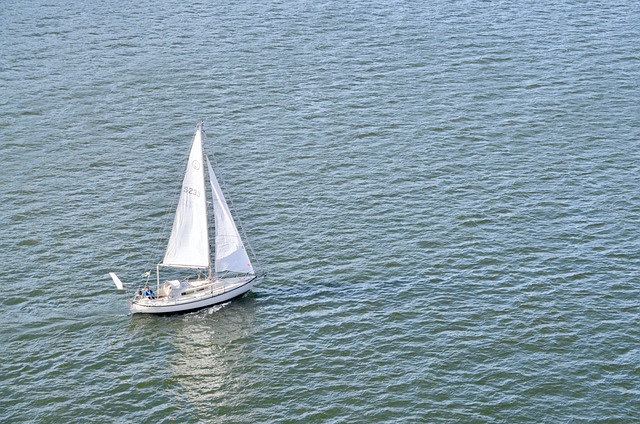 Barco A Vela, Velejar, Mar, Agua