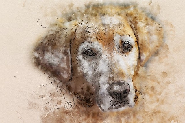 Free animal dog golden retriever illustration