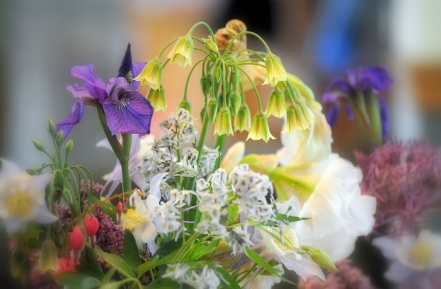 Free Flowers Floral photo and picture