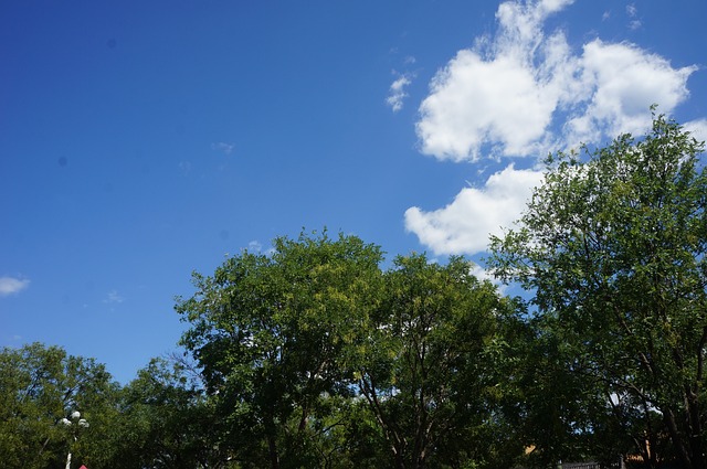 Free Clear Sky White Cloud photo and picture