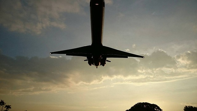 Free Aircraft Runway photo and picture