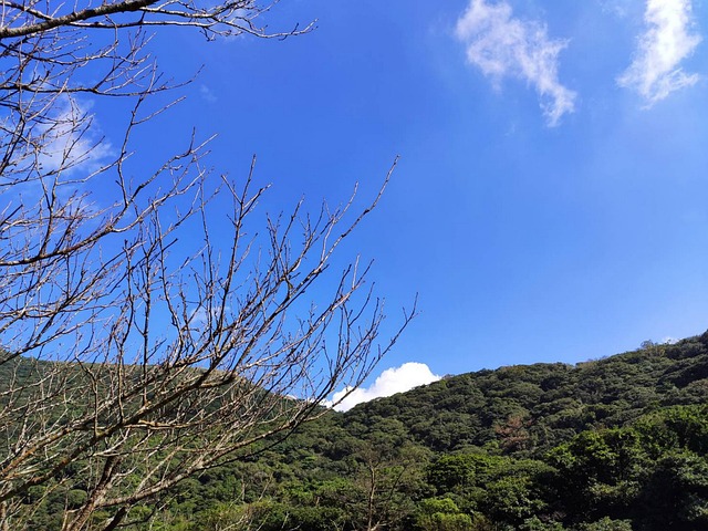 Free Outskirts Mountain photo and picture