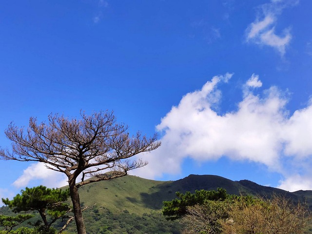 Free Outskirts Mountain photo and picture