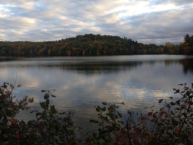 Free Lake Nature photo and picture