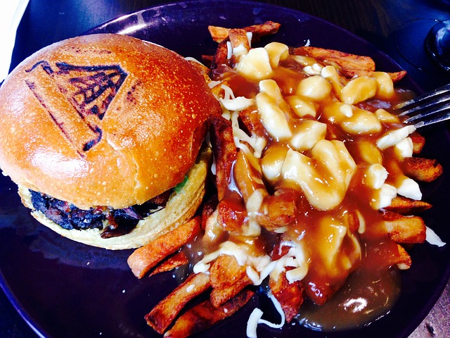 Free Hamburger Frises photo and picture