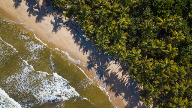 Free Beach Ocean photo and picture