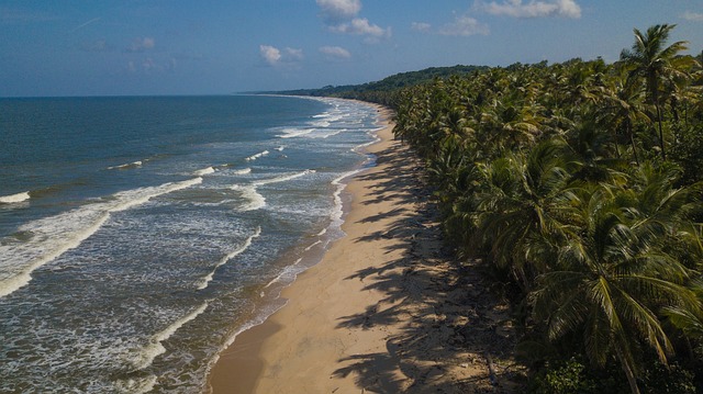 Free Trinidad Tobago photo and picture