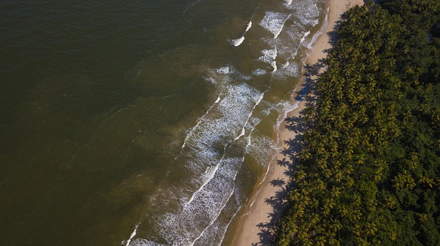 Free Trinidad Tobago photo and picture