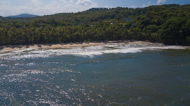 Free Trinidad Tobago photo and picture