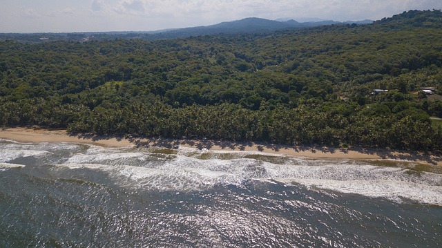 Free Trinidad Tobago photo and picture