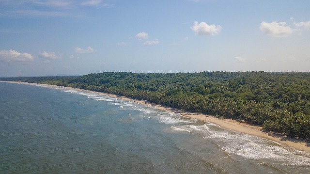 Free Trinidad Tobago photo and picture