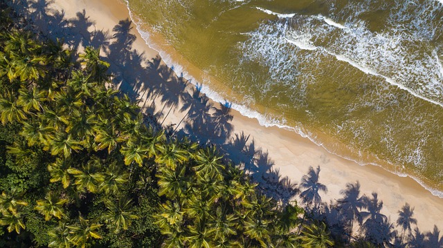 Free Trinidad Tobago photo and picture