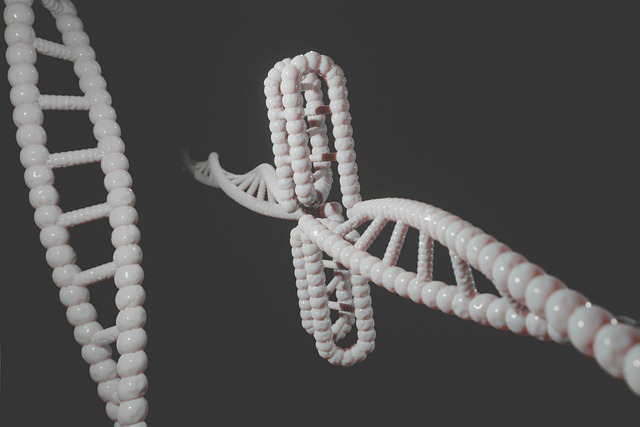 human, dna, genetic, cytosine, i-motif, i-tetraplex, i-dna, dns, i-motif dna, quadruplex, g-quadruplex, non-b-dna, c-rich regions, dna, dna, dna, dna, dna