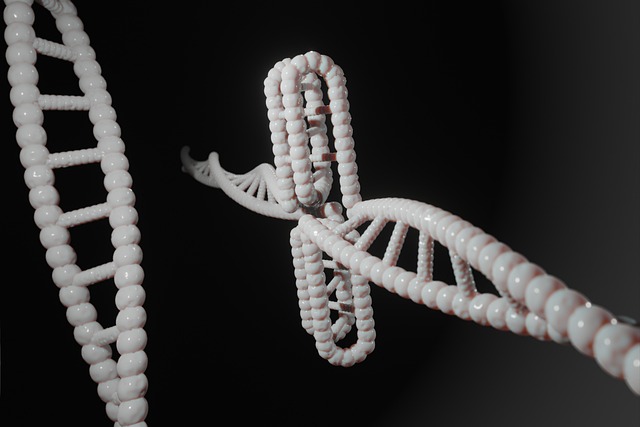 human, dna, genetic, cytosine, c-rich regions, i-motif, i-tetraplex, i-dna, dns, i-motif dna, quadruplex, g-quadruplex, non-b-dna, dna, dna, dna, dna, dna, genetic
