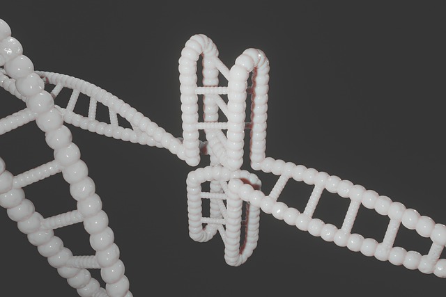 human, dna, genetic, cytosine, i-motif, i-tetraplex, i-dna, dns, i-motif dna, quadruplex, g-quadruplex, non-b-dna, c-rich regions