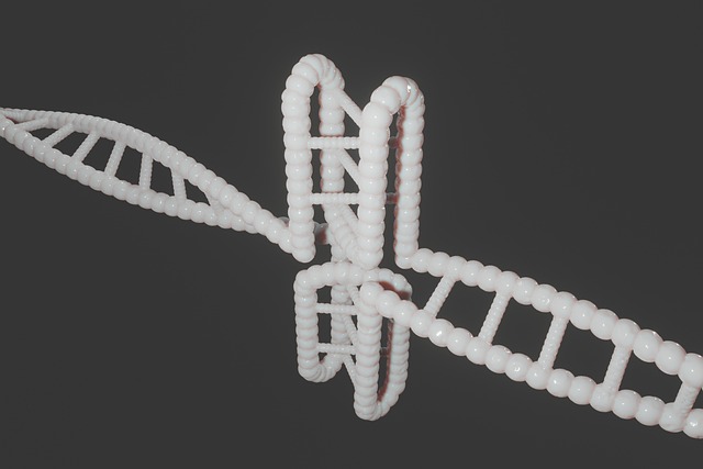 Human, dna, genetic and cytosine — photo by PixiMe01