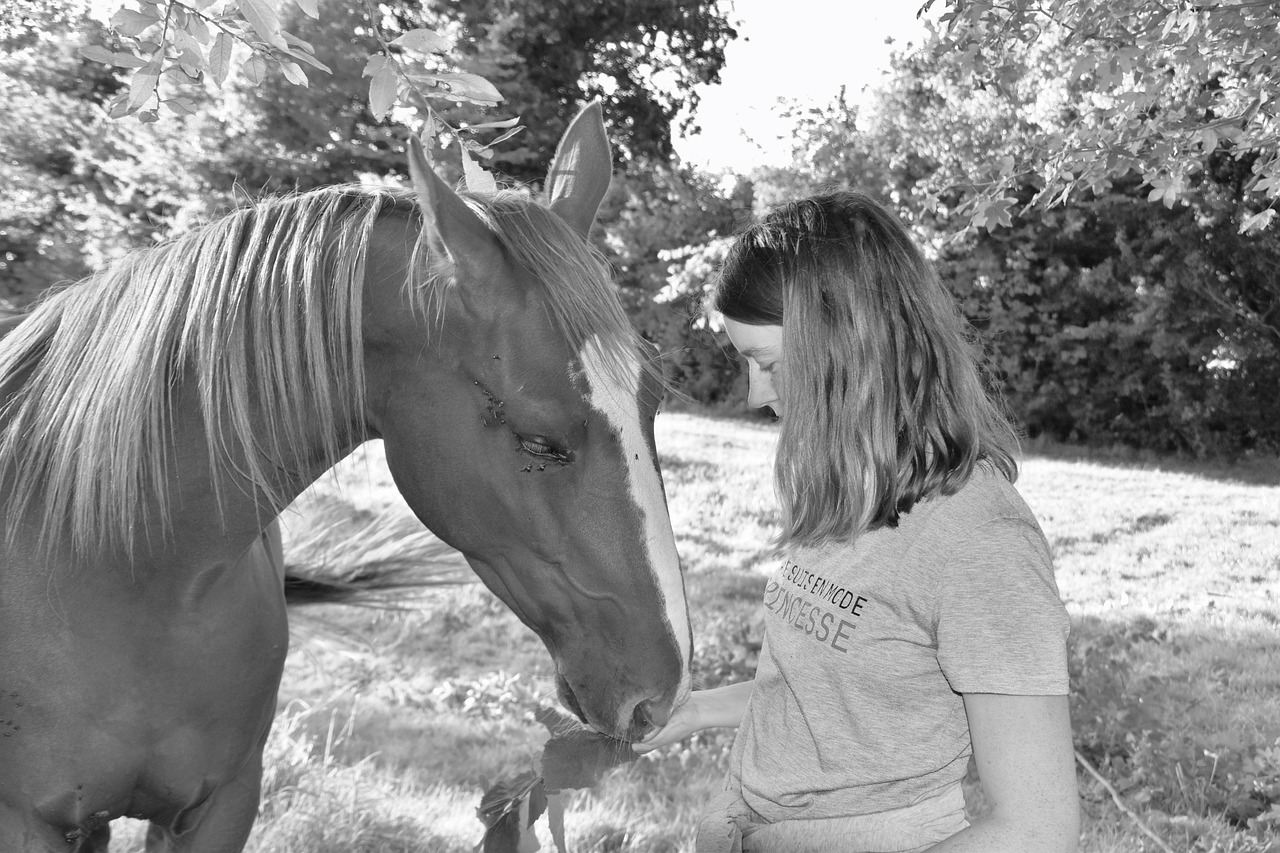 girl-with-her-horse-young-free-photo-on-pixabay-pixabay