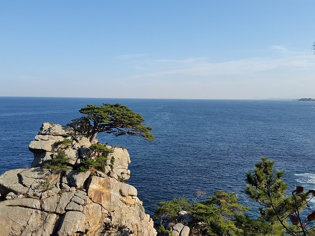 Free Ocean Korean Ocean photo and picture
