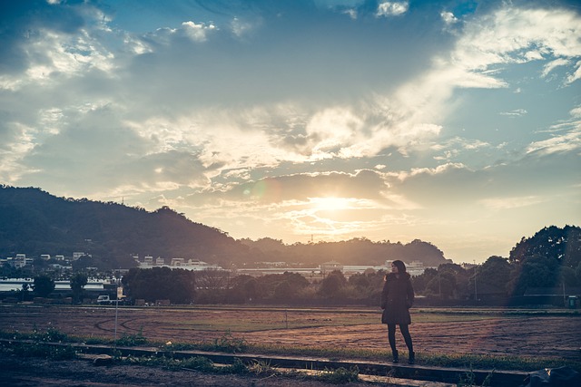 Atardecer, Mujer, Campo, Árboles