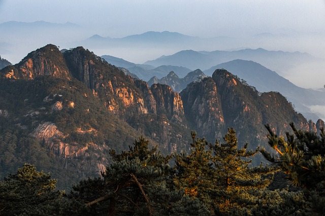 Montañas, Bosque, Árboles, Niebla