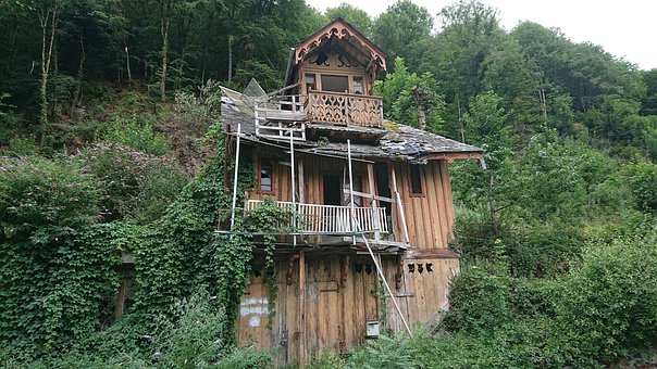 Free House Nature photo and picture