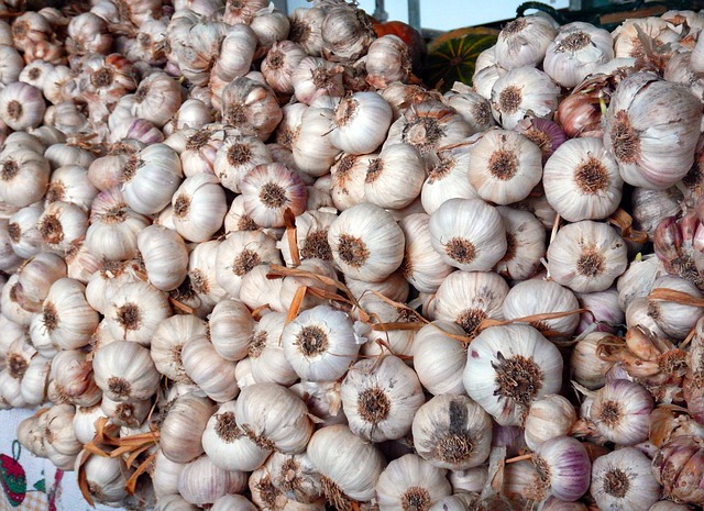 Free Garlic Still Life photo and picture