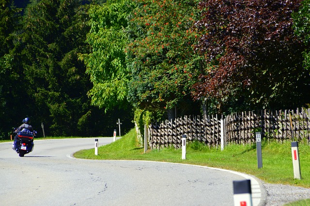 Motoros, Rutiere, Austria, Copaci