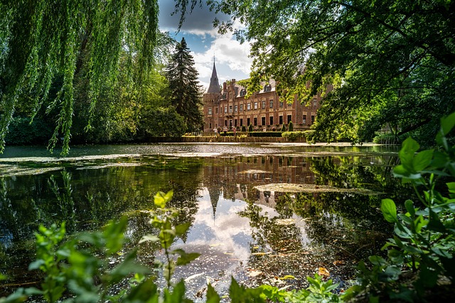 Free Castle Building photo and picture