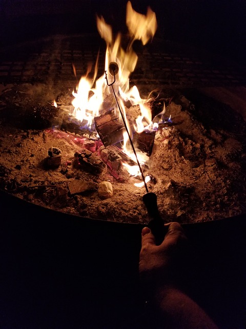 Free Campfire Marshmallow photo and picture